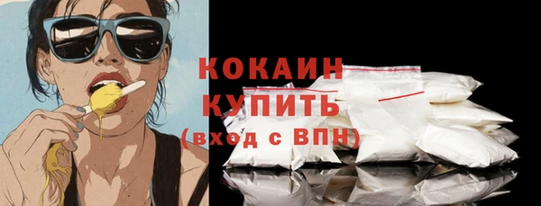 шишки Горно-Алтайск