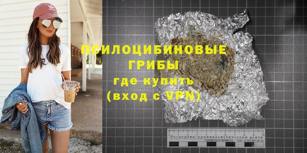шишки Горно-Алтайск