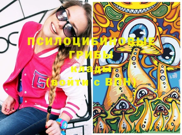 apvp Вязьма