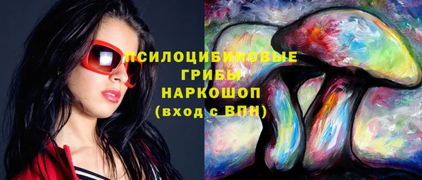 apvp Вязьма