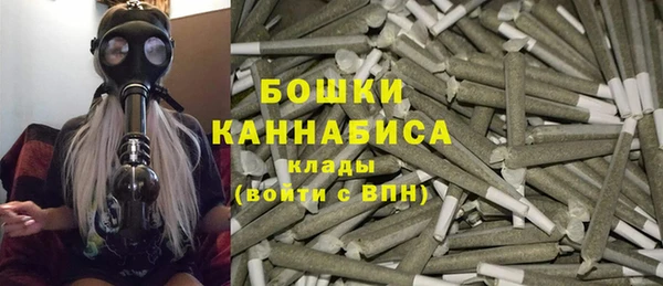 молекула духа Верхний Тагил
